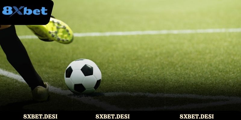 Vài điều cần nắm về cá độ bóng đá 8XBET