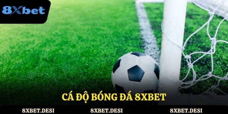 Cá độ bóng đá 8XBET