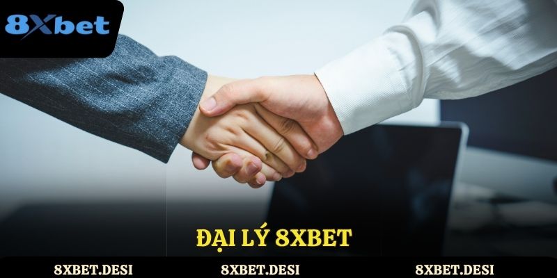 Hướng dẫn chi tiết hợp tác làm đại lý 8XBET và nhận quyền lợi hấp dẫn