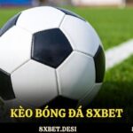 kèo bóng đá 8xbet