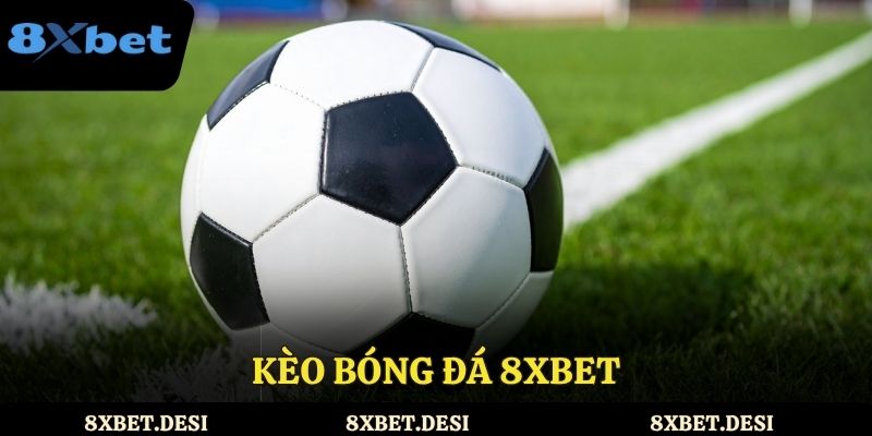 kèo bóng đá 8xbet