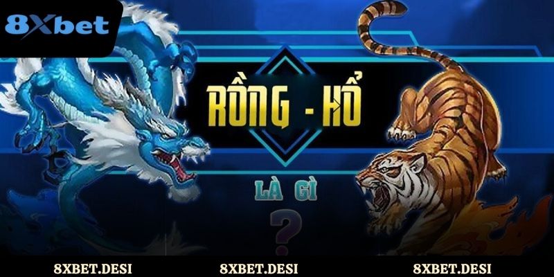 Vài thông tin tổng quan về Rồng Hổ 8XBET
