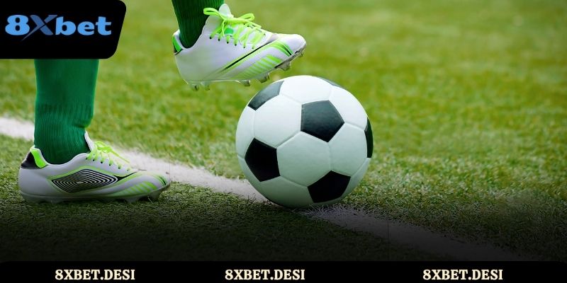 Giới thiệu đôi điều về tỷ số bóng đá 8xbet